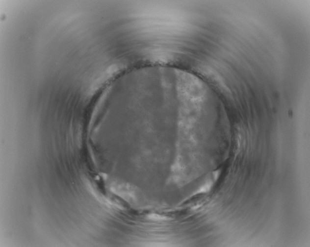 X0000089430496200707061347