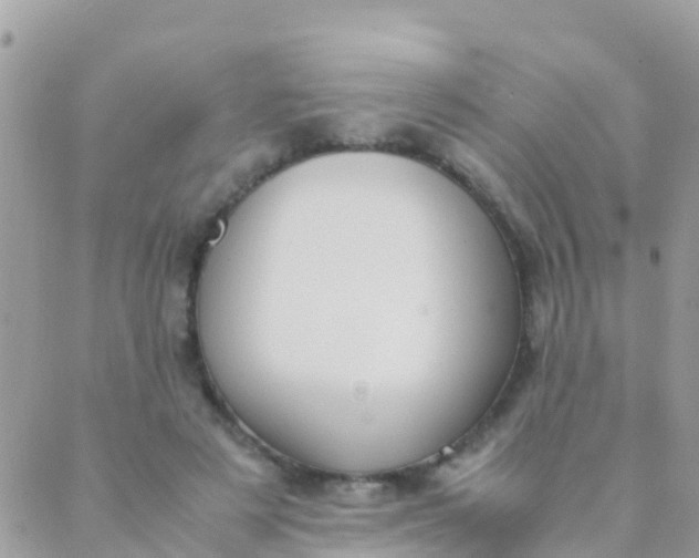 X0000089430497200707061347