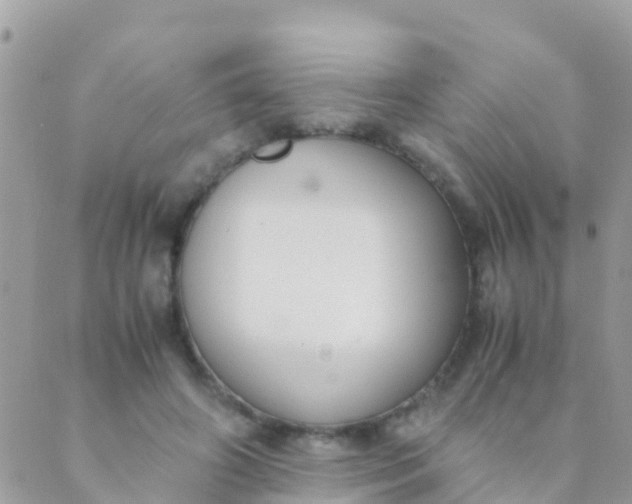 X0000089430498200707061347