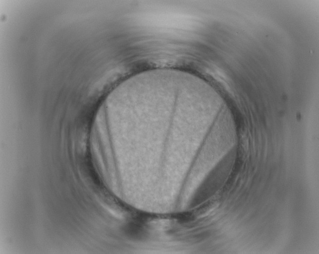 X0000089430499200707061347