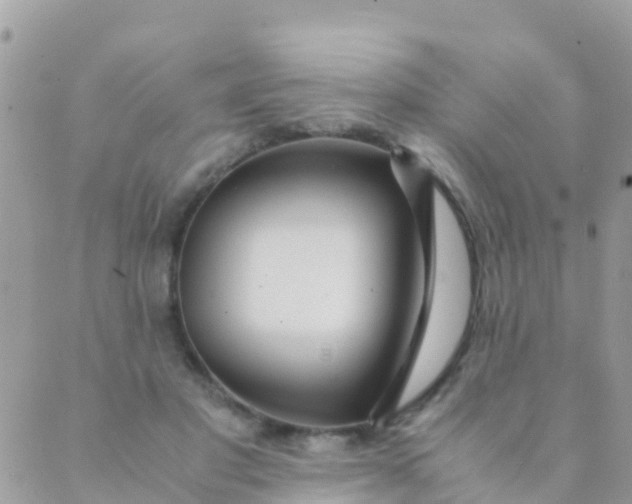 X0000089430501200707061347