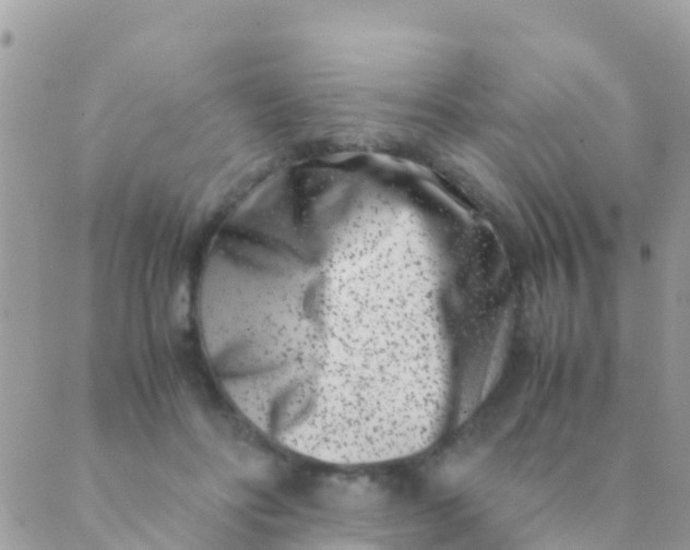 X0000089430502200707061347