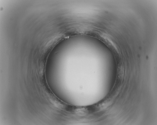 X0000089430505200707061347