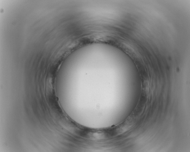 X0000089430506200707061347