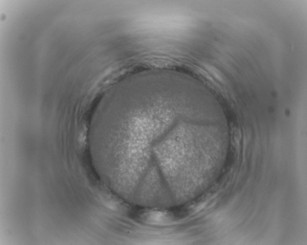 X0000089430507200707061347