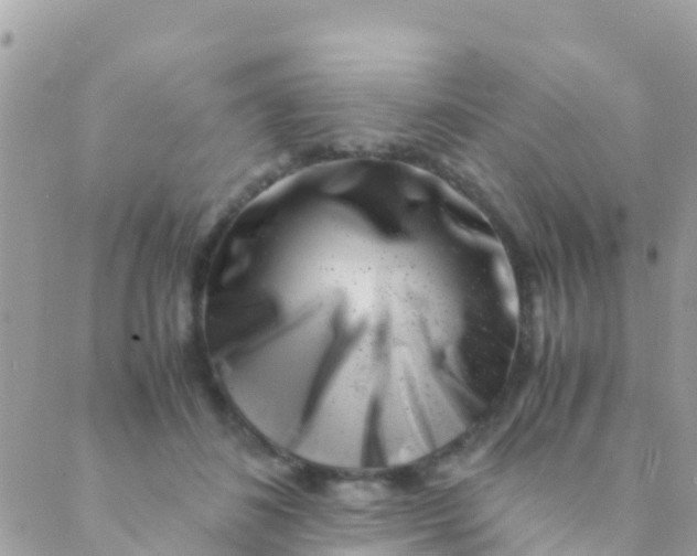 X0000089430508200707061347