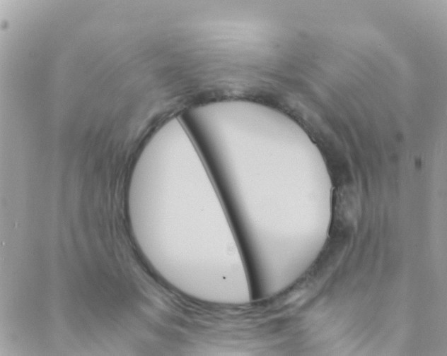 X0000089430509200707061347