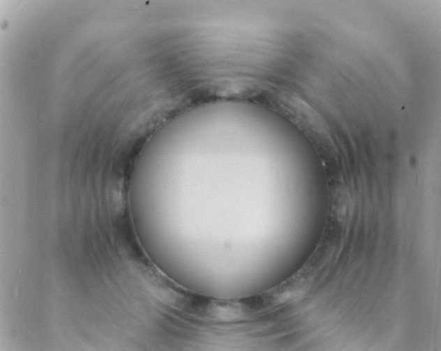 X0000089430510200707061347