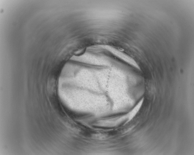 X0000089430511200707061347