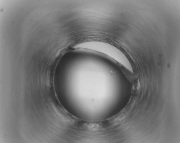 X0000089430512200707061347