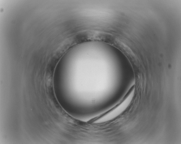 X0000089430513200707061347