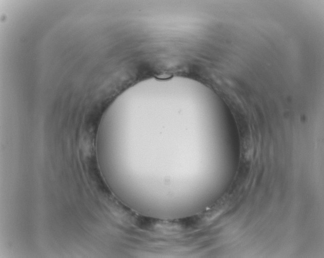 X0000089430515200707061347