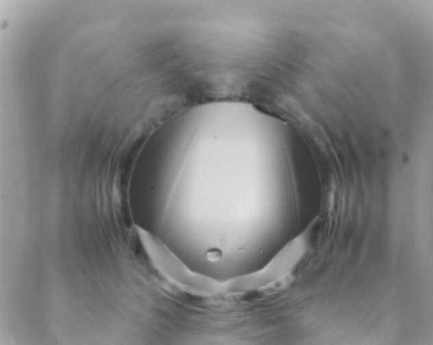 X0000089430516200707061347