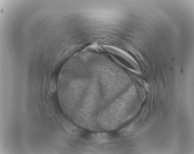 X0000089430517200707061347