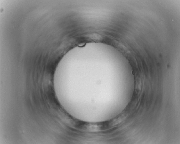 X0000089430518200707061347