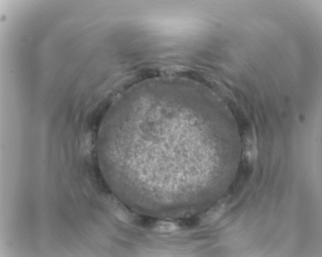 X0000089430519200707061347