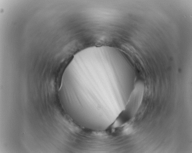 X0000089430520200707061347