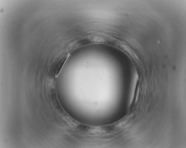 X0000089430521200707061347