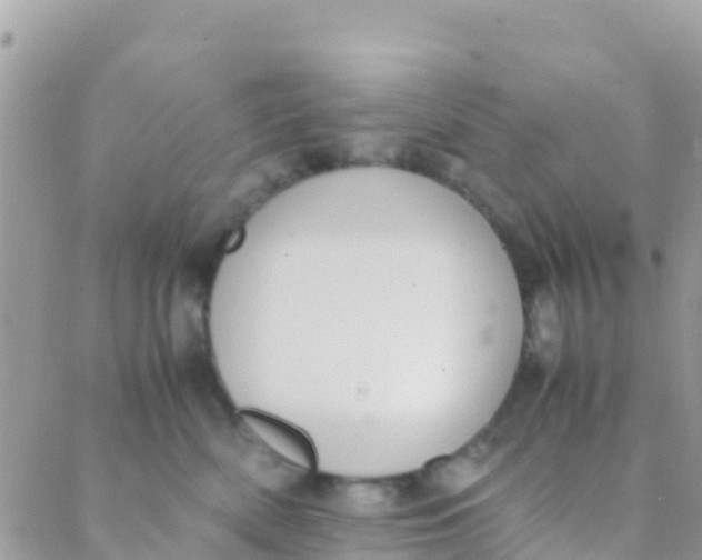 X0000089430522200707061347