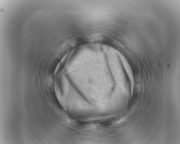 X0000089430523200707061347