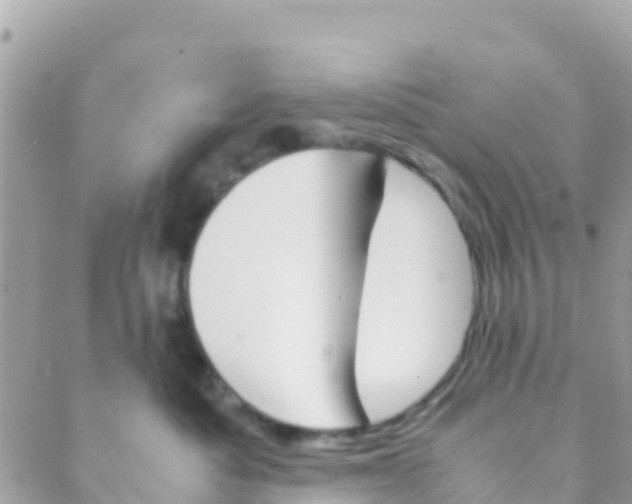 X0000089430525200707061347