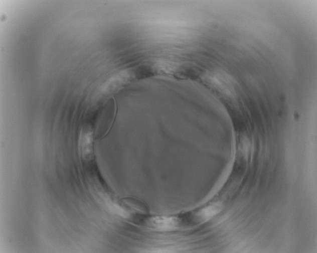 X0000089430526200707061347