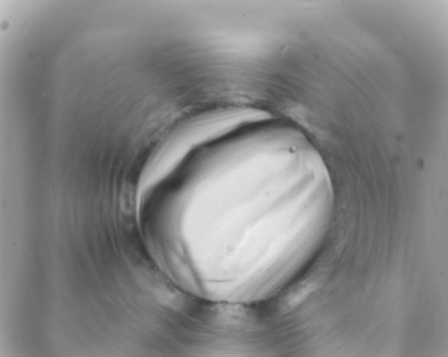 X0000089430528200707061346