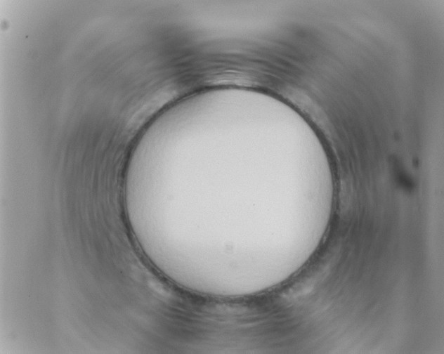 X0000089430529200707061346