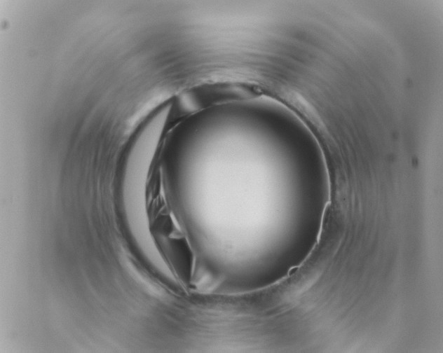 X0000089430530200707061346