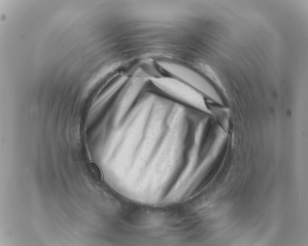 X0000089430531200707061346