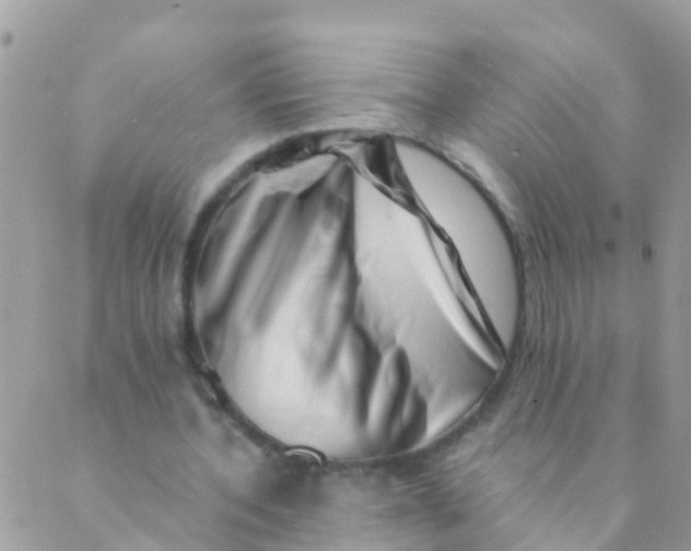 X0000089430532200707061346