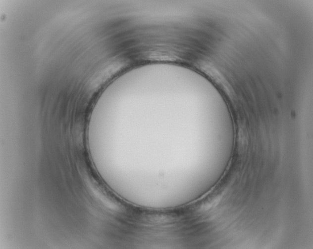 X0000089430533200707061346