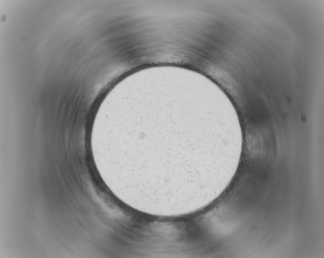 X0000089430534200707061346