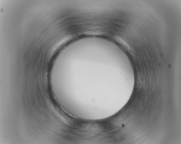 X0000089430535200707061346