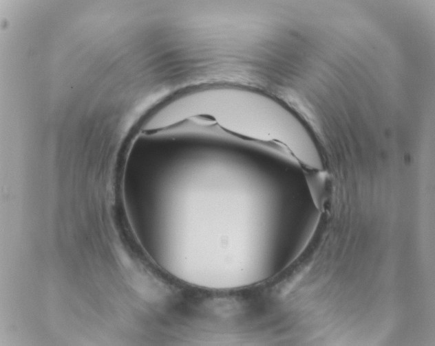 X0000089430536200707061346