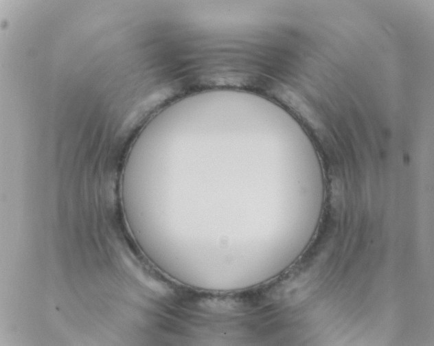 X0000089430537200707061346