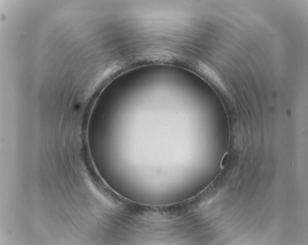 X0000089430538200707061346