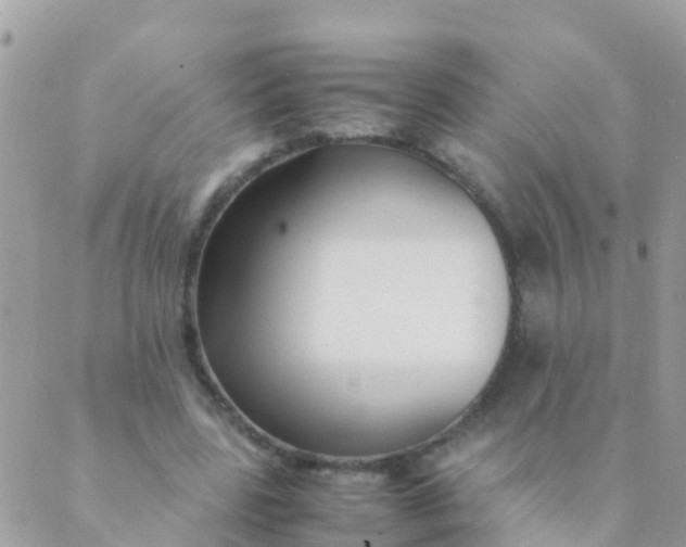 X0000089430539200707061346