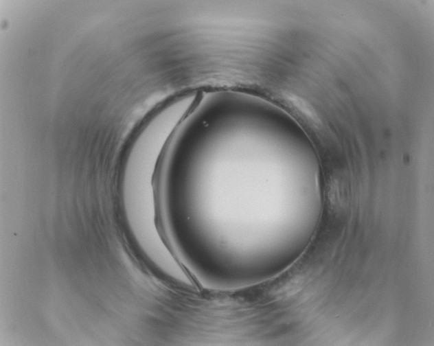 X0000089430540200707061346