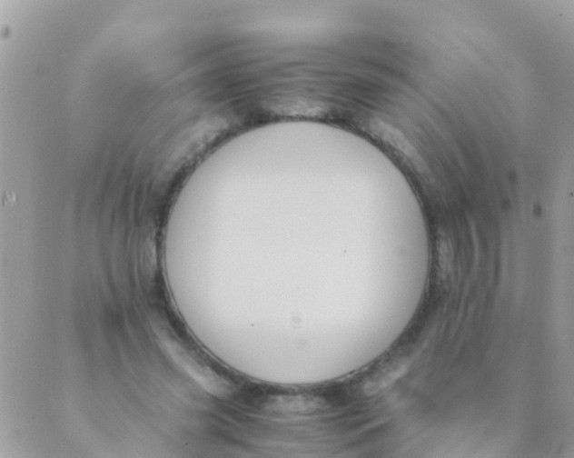 X0000089430541200707061346