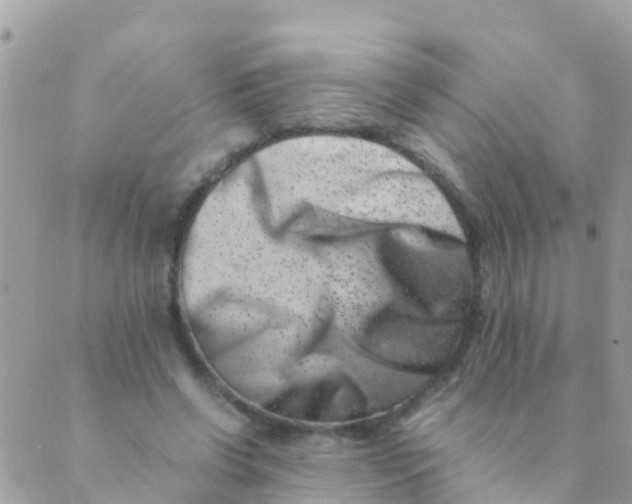 X0000089430542200707061346