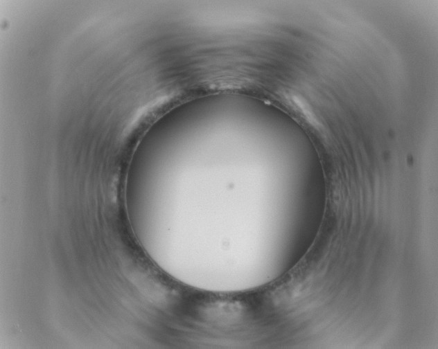 X0000089430543200707061346