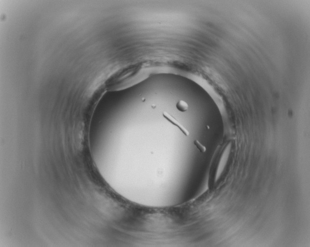 X0000089430544200707061346