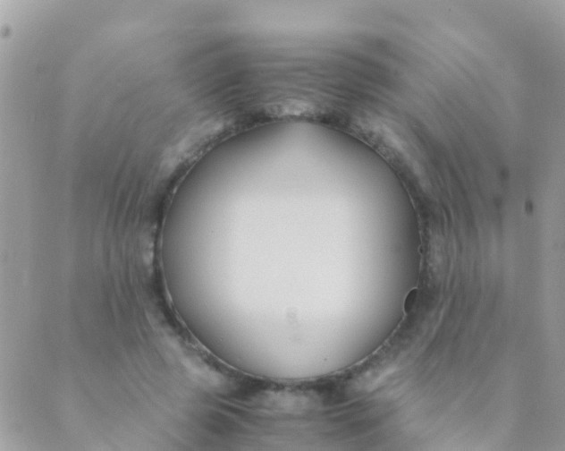 X0000089430545200707061346