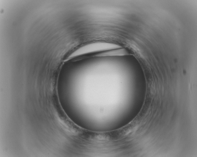 X0000089430546200707061346