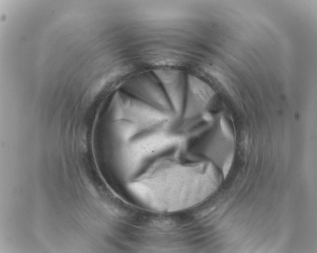 X0000089430547200707061346