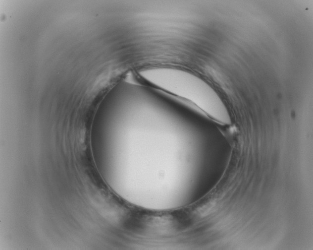 X0000089430548200707061346