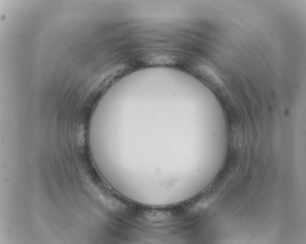 X0000089430549200707061346