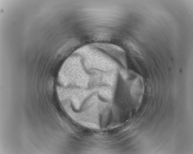 X0000089430550200707061346