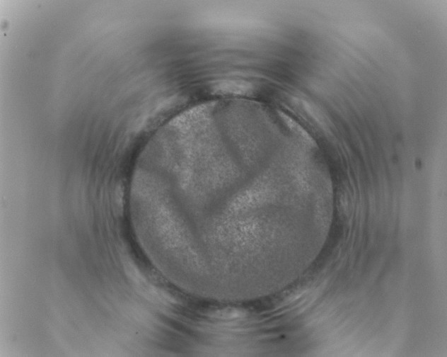 X0000089430551200707061346